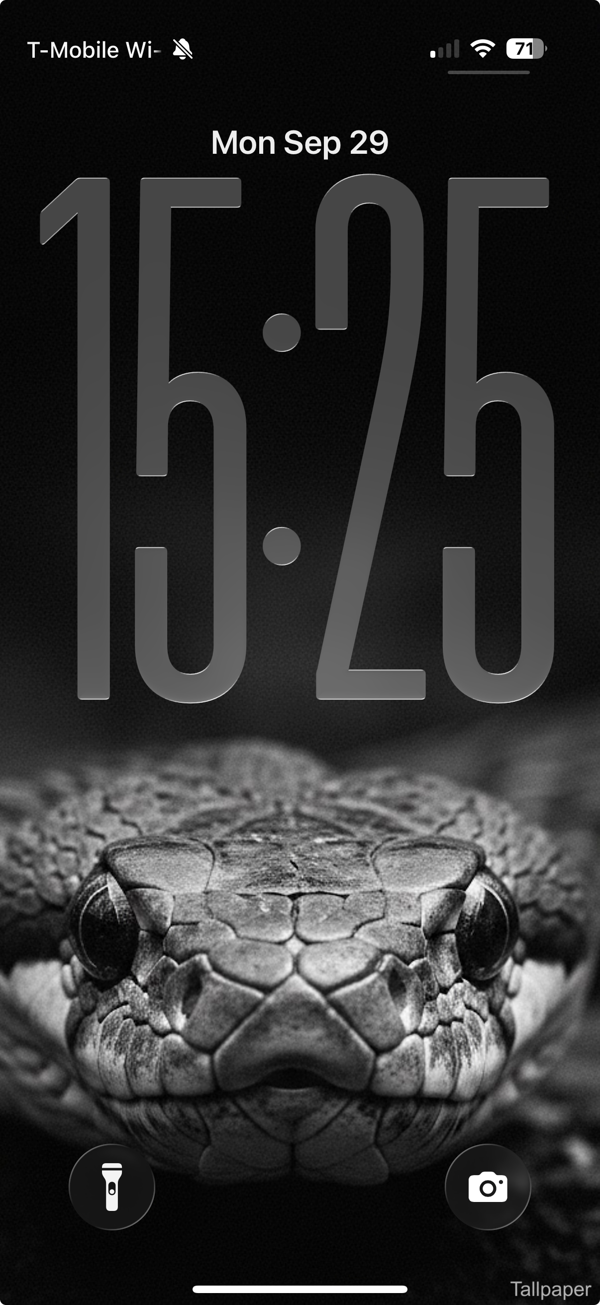 Wallpaper preview